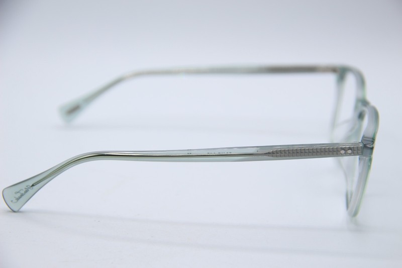NEW RAEN ROZIN PACIFICA CLEAR GREEN AUTHENTIC FRAMES EYEGLASSES 50-17 gallery