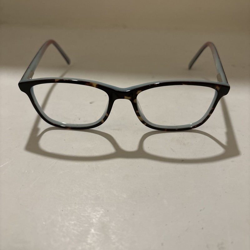 Linsey Michelle Frames Tortoise Shell Outside Blue Interior