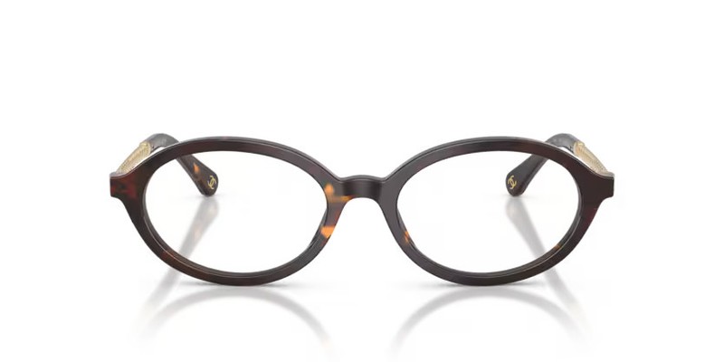 CHANEL 3499H 1818 - Havana Tweed Size 53 Frame Authorized Dealer gallery