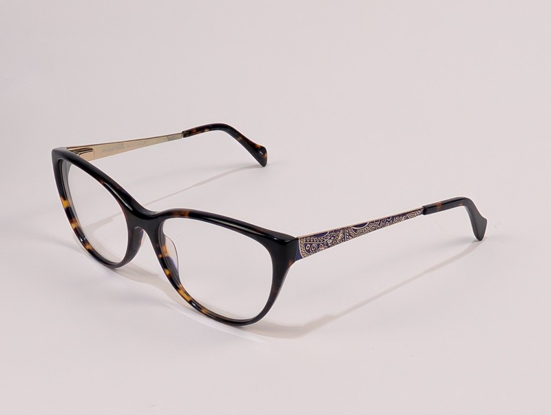 Salsa Eyeglasses Frames SA 6004 TO/BL Blue Tortoise Gold 54-17-140