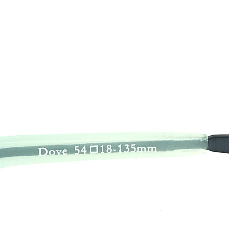 Laura Ashley Eyeglasses Frames Dove Addison Blue Floral Semi Rim 54-18-135 gallery